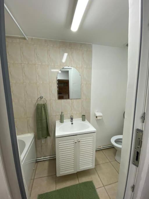 House Apartment In Timisoara Timişoara Exterior foto