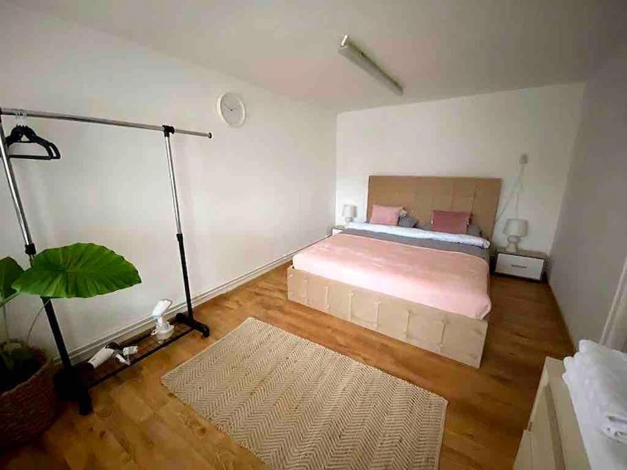 House Apartment In Timisoara Timişoara Exterior foto